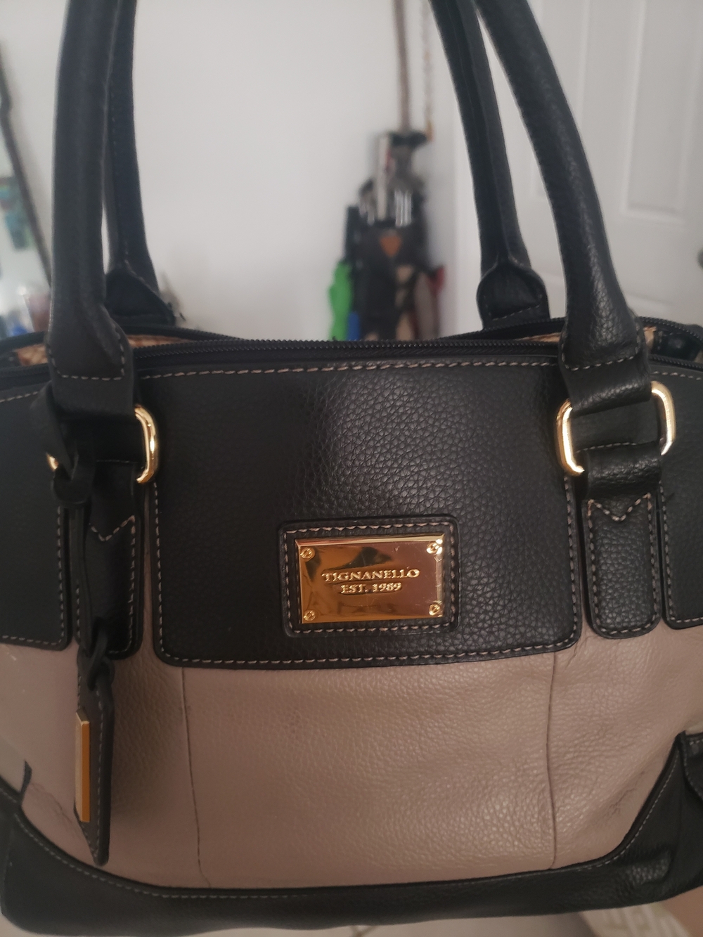Tignanello Leather Satchel in Black and Grey